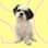 mr. paquito