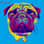 pug_hugo_otto