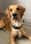 itsmarlothegolden