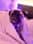 Fridolin_thepug