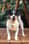 lola.the.jack.russel
