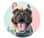 pukthefrenchbulldog