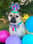 reggiethepugjug