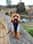 buddy.the.toycavoodle