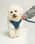 Beauthebichon17