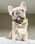 the_adorabulls_adventures