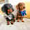 eddie_minidach