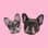 littlefrenchiesisters