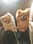 benji.bobbi.thepomeranians