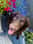 _adventuresofbuzz