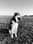 Life_of_kaizer