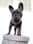 buddy.and.bella_frenchdoglife
