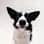 Buddy