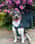 awesome_payka