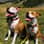 riley.luna.theamstaffs