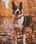 seelenhund.daisy