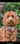 Winnie