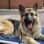 Kobi.our.gsd