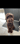labradoodle_stymie