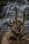 hounds_adventure