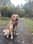Rorysgoldenlife_