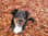Theadventures0floki