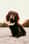 soul.pawtners