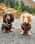 Thelakes.daxieduo
