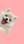 milodogadventure