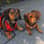 charlie_luna_little_adventure