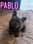 Pablo_the_Baloubie