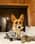 Finley.the.corg