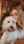 Winston_bear_hill