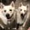 lexandmacy