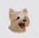 ricosauvetheyorkie