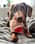 dogcalledwanda