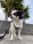 Buddy_327.