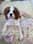 Cavalier_LadyRoseMacClare