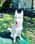 ghostthehuskyboy