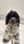 Buster_the_cockapoo_x