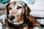 phoenixtherescuedog