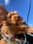 Australianlabradoodle_bodhi