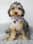 little_peggy_cockapoo