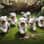 Shep_thesheepdog