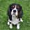 scooby_cavalier