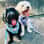 frankie.mrmoodle