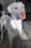 strickley.sara