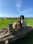 thespanielteam_pugfaceandbean