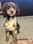 Dearpruedog
