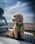 _reggiethecockapoo_